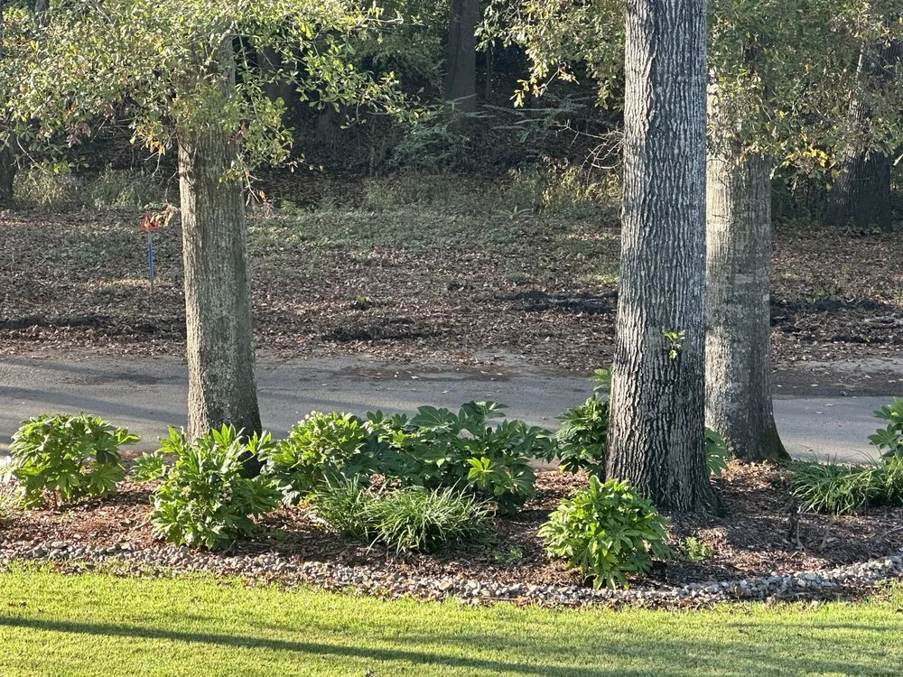 Trusted landscape installation for residential properties in Tyler, TX by Landscape Defined