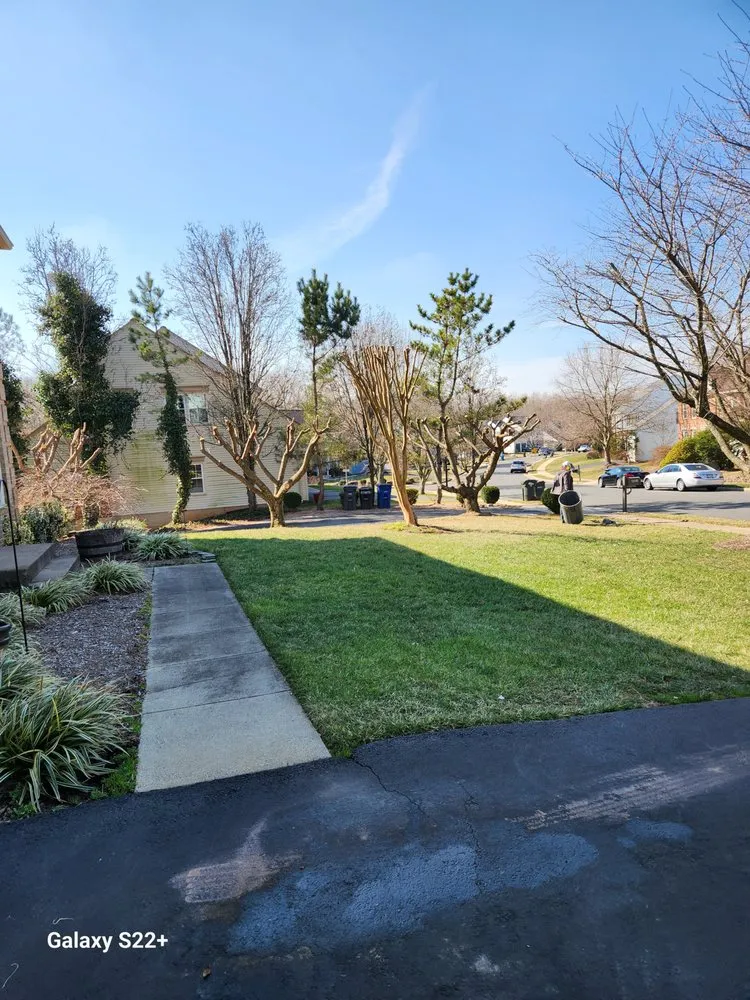 Affordable landscaping services in Centreville, VA by Landscape Deleon