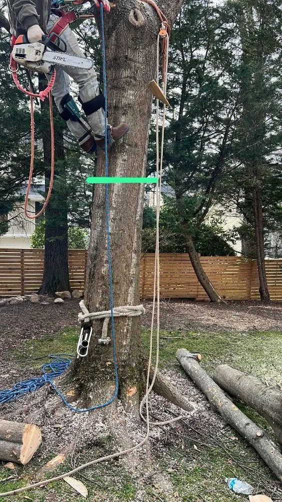 Trusted garden landscaping experts serving Centreville, VA - Landscape Deleon