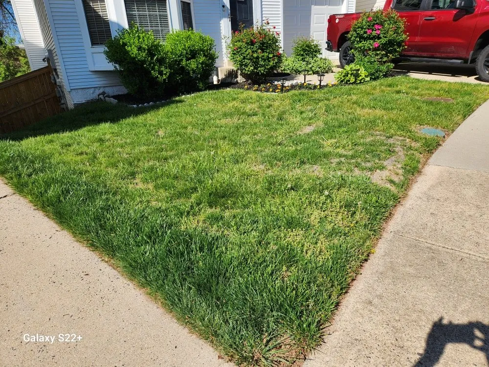 Trusted lawn care service for outdoor upgrades across Centreville, VA - Landscape Deleon