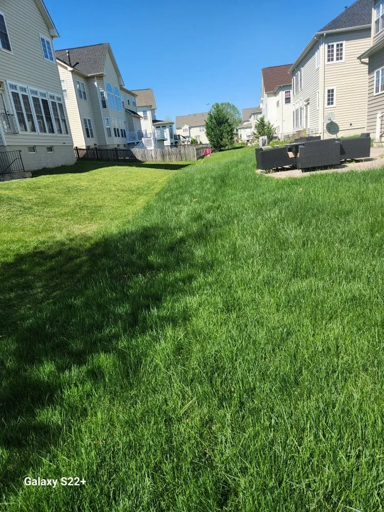 Reliable landscape design for homes in Centreville, VA by Landscape Deleon