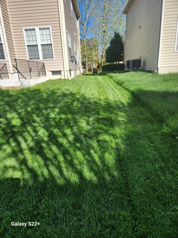 Local landscape installation for outdoor upgrades across Centreville, VA - Landscape Deleon