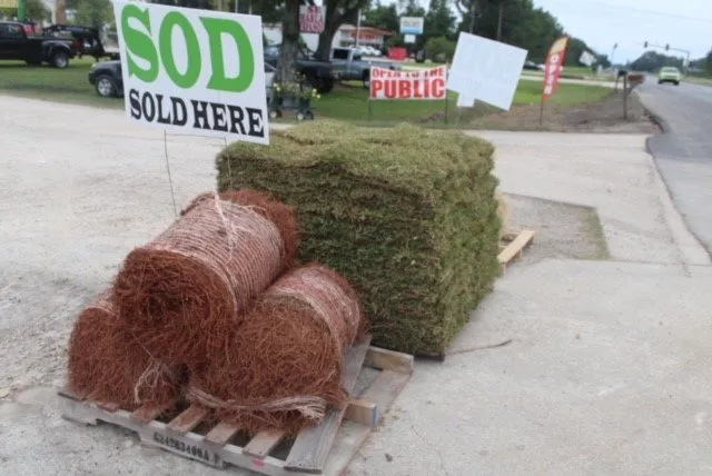 Trusted yard maintenance for outdoor upgrades across Prairieville, LA - Landscape Depot of Baton Rouge