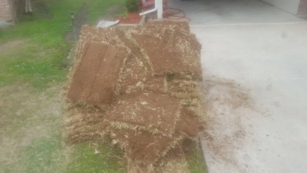 Top-rated landscaping services near you across Prairieville, LA - Landscape Depot