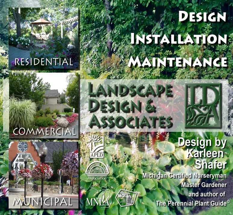 Trusted outdoor landscaping for beautiful yards in Brighton, MI by Landscape Design & Associates