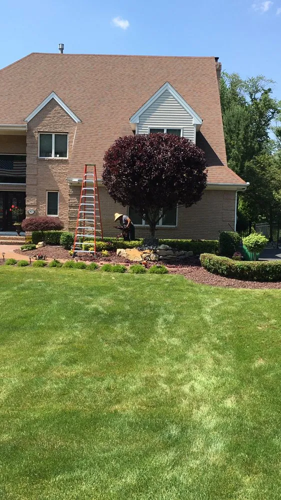 Professional yard cleanup service experts serving Perth Amboy, NJ - Landscape Design & Maintenance