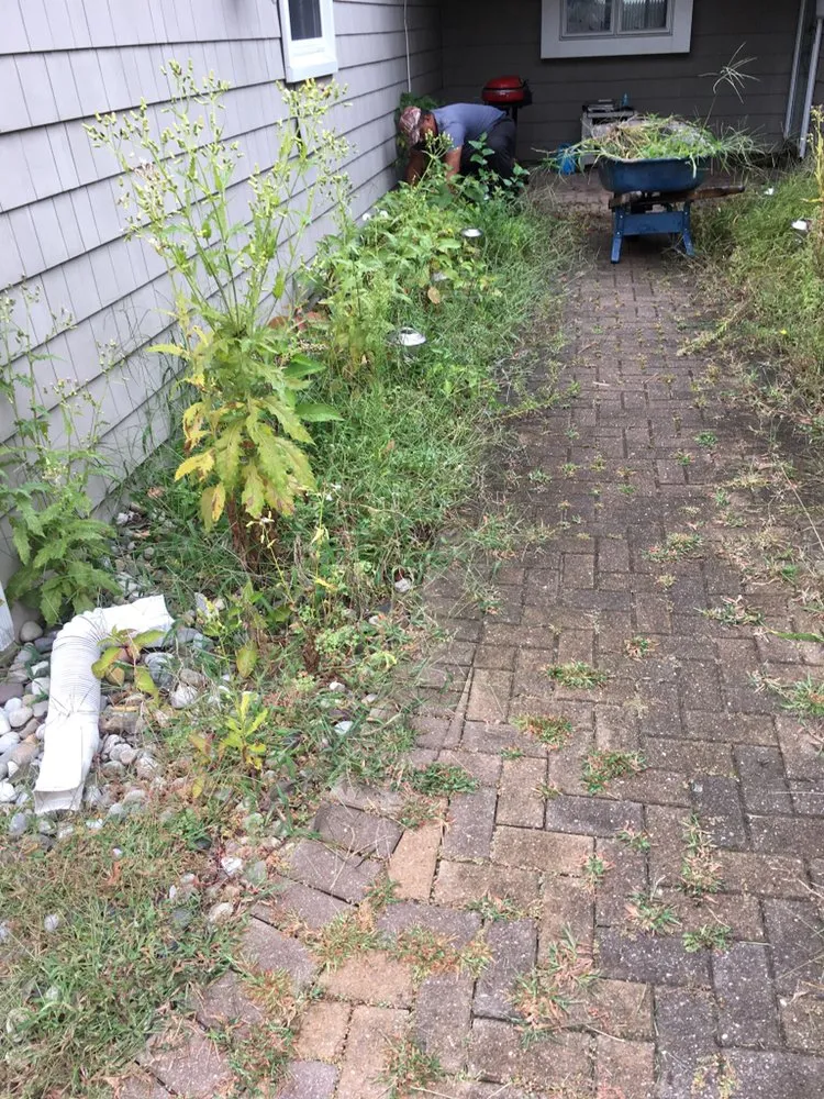 Top-rated landscaping services experts serving Perth Amboy, NJ - Landscape Design & Maintenance