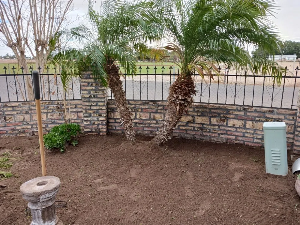 Local yard maintenance experts serving Goodyear, AZ - Landscape Design Desert Life