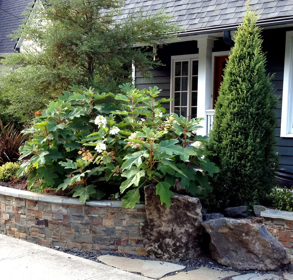 Top-rated garden landscaping experts serving Portland, OR - Landscape Design In a Day