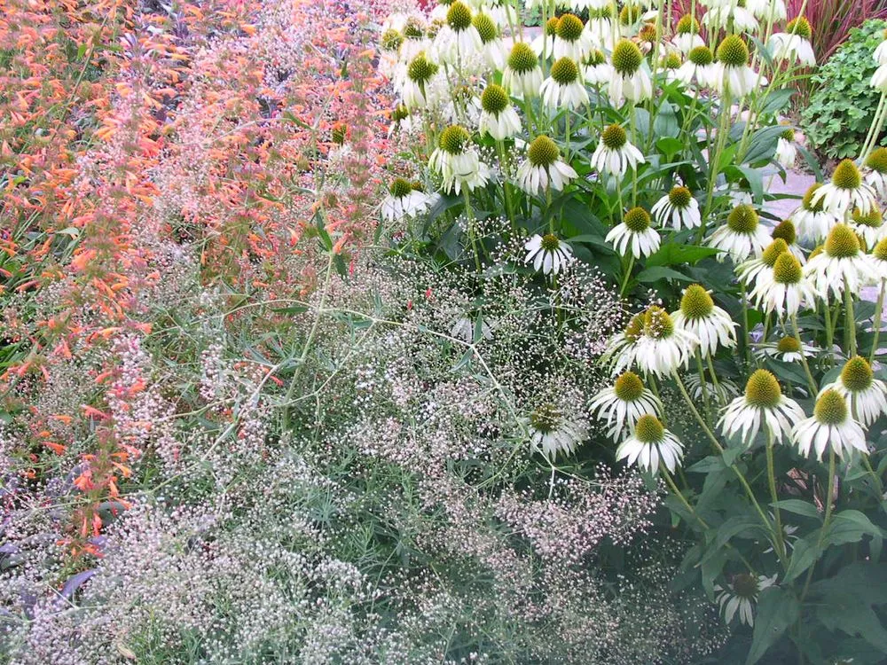 Expert outdoor landscaping in Portland, OR - Landscape Design In a Day