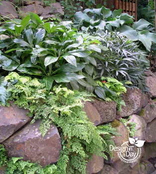 Local yard maintenance in Portland, OR - Landscape Design In a Day