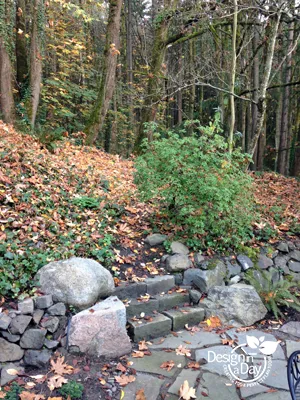 Local landscape design in Portland, OR by Landscape Design In a Day