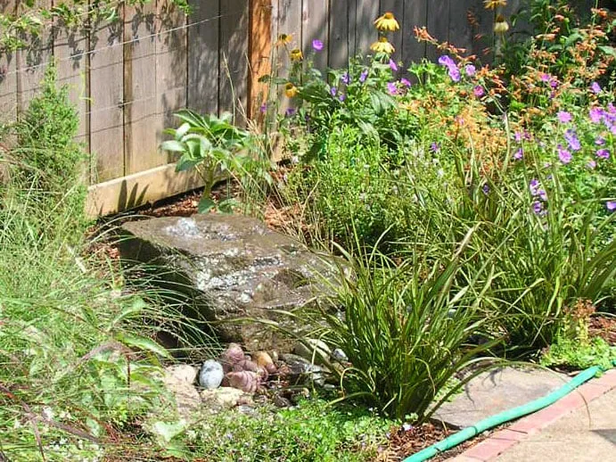 Local yard maintenance in Portland, OR - Landscape Design In a Day
