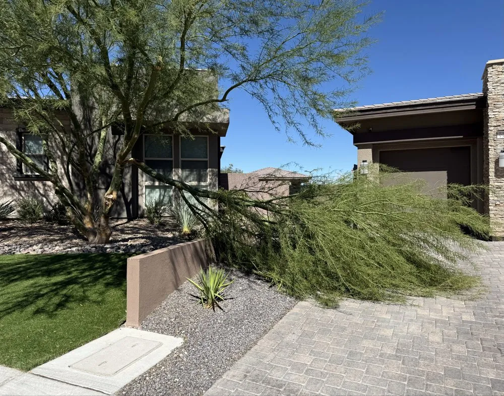 Affordable lawn mowing service in Las Vegas, NV by Landscape Design