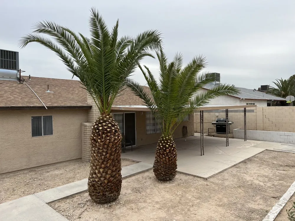 Top-rated lawn care service for year-round maintenance across Las Vegas, NV - Landscape Design