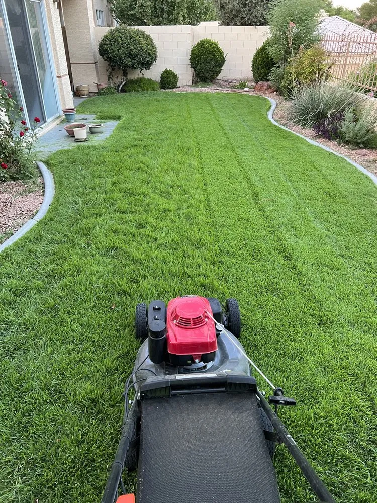 Expert lawn mowing service in Las Vegas, NV - Landscape Design