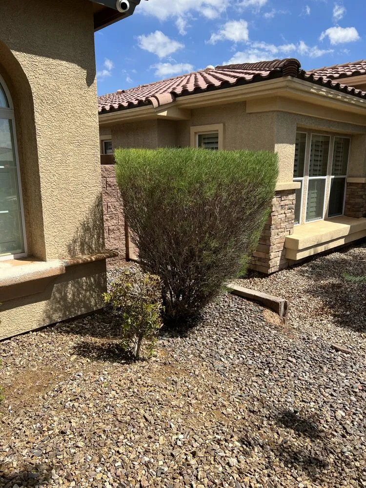 Trusted landscaping services for outdoor upgrades in Las Vegas, NV by Landscape Design