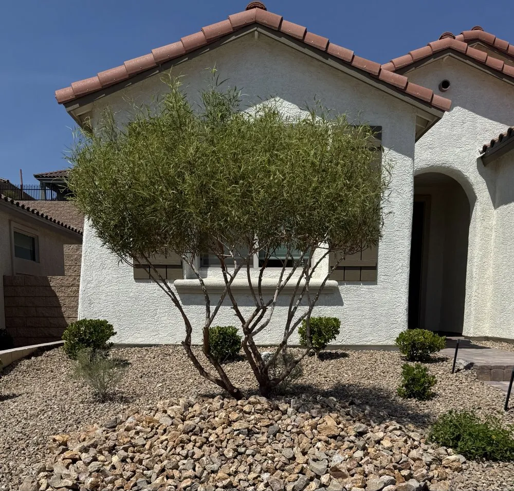 Reliable lawn care service in Las Vegas, NV by Landscape Design