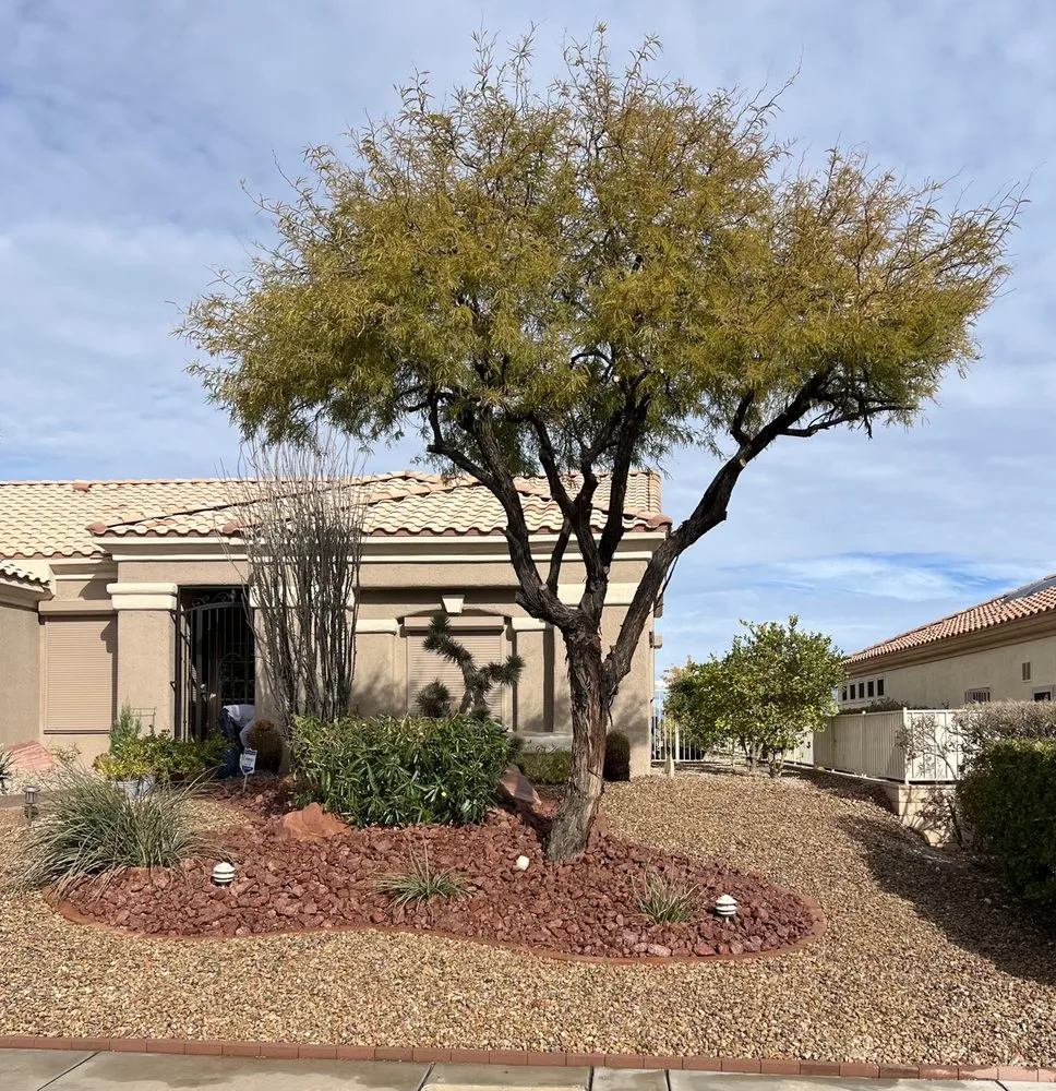 Affordable yard cleanup service for homes in Las Vegas, NV by Landscape Design