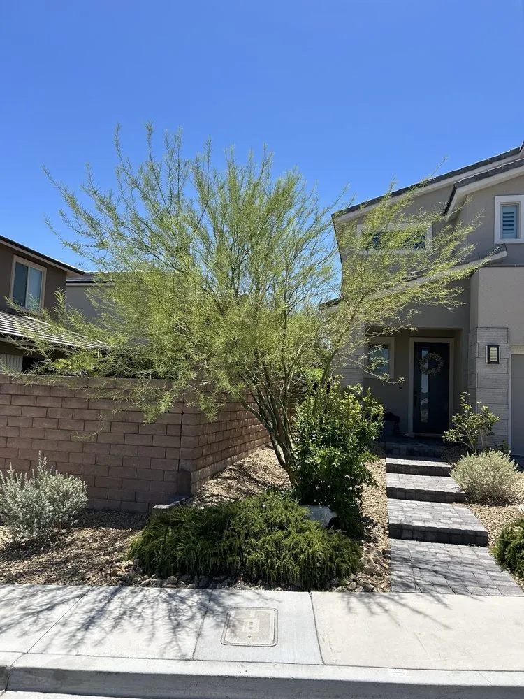 Custom residential landscaping experts serving Las Vegas, NV - Landscape Design