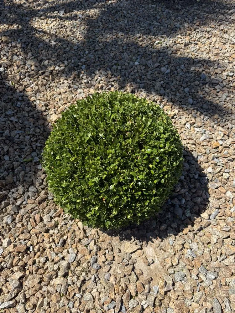 Reliable garden landscaping for outdoor upgrades in Las Vegas, NV by Landscape Design