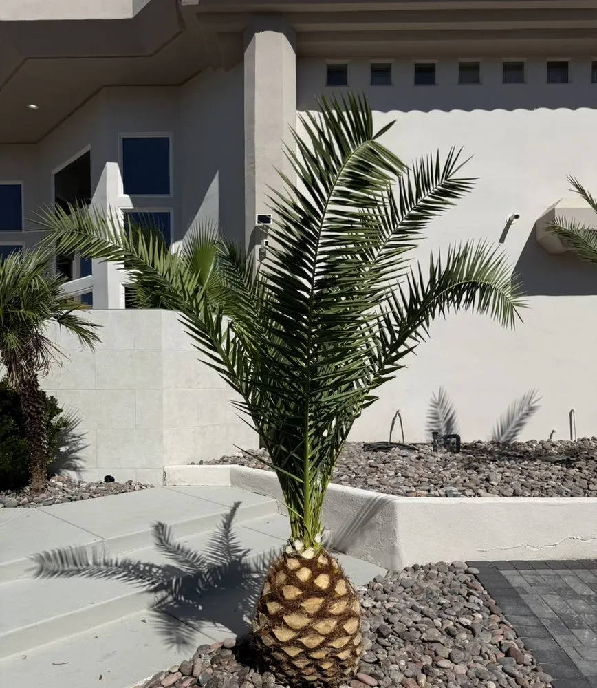 Affordable yard maintenance for year-round maintenance across Las Vegas, NV - Landscape Design