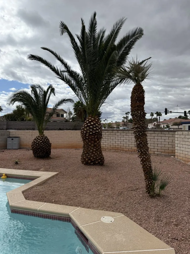 Custom garden landscaping experts serving Las Vegas, NV - Landscape Design