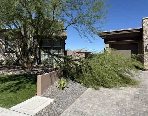 Landscape Design Logo