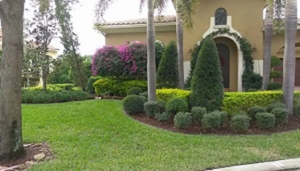 Professional landscape design in Boca Raton, FL - Landscape Design of Boca Raton