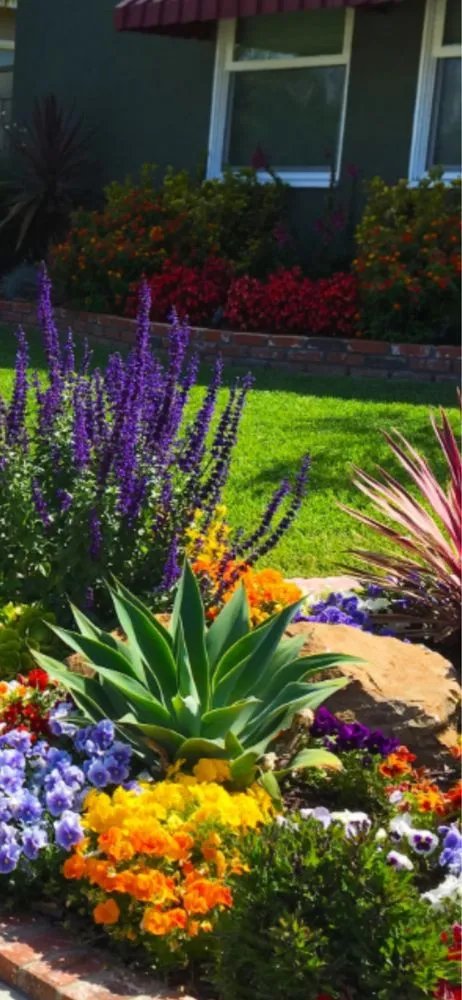 Affordable landscape installation in Madison, GA by Landscape Design Works