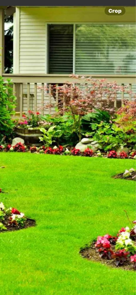 Trusted lawn care service in Madison, GA - Landscape Design Works