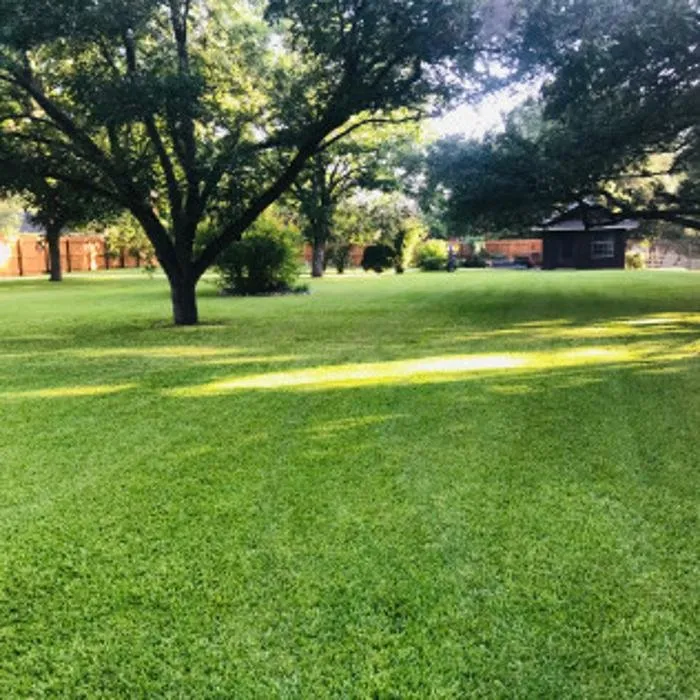 Affordable residential landscaping in Jarrell, TX by Landscape Designs and Lawn Care