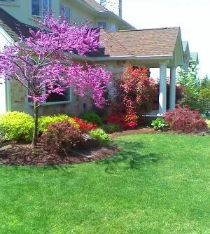 Expert lawn mowing service experts serving Paramus, NJ - Landscape Designs