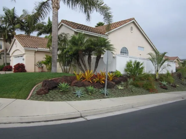 Trusted lawn care service in San Clemente, CA by Landscape Designs