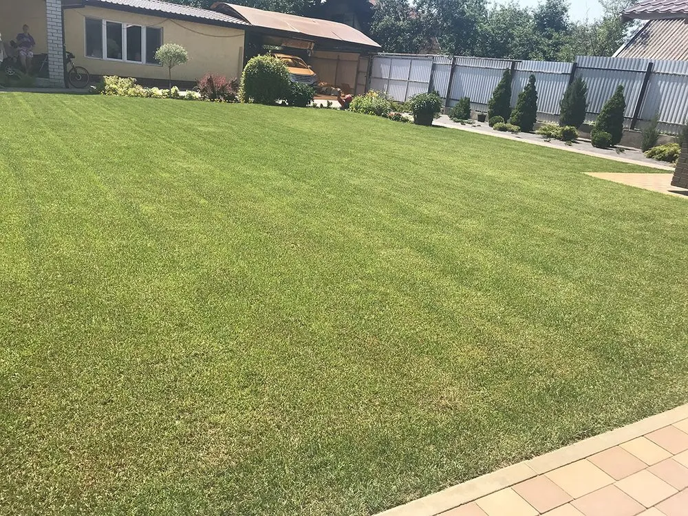 Expert garden landscaping for homes across Valencia, CA - Landscape Development