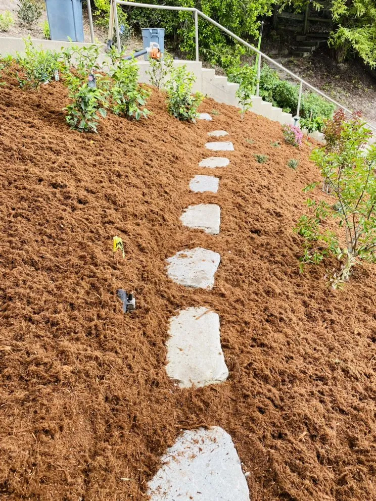 Local yard maintenance near you across Scotts Valley, CA - Landscape Dia’z