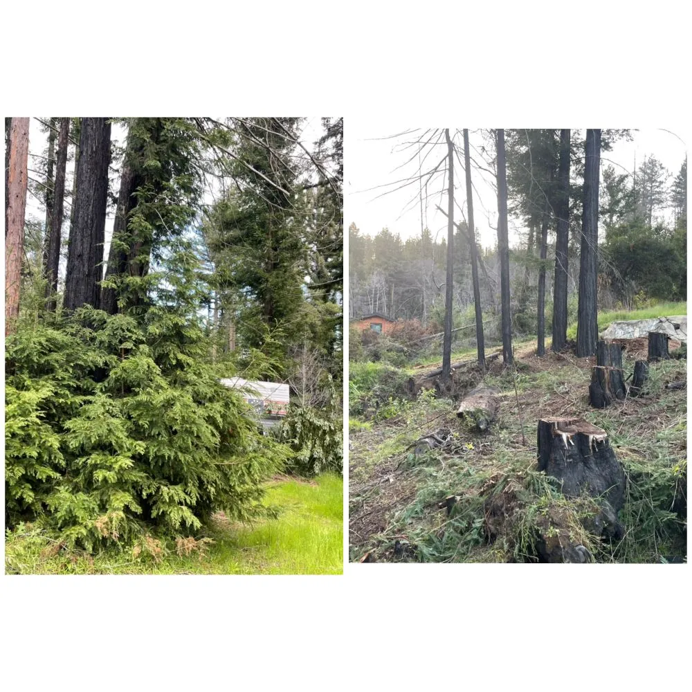 Affordable landscaping services for outdoor upgrades across Scotts Valley, CA - Landscape Dia’z