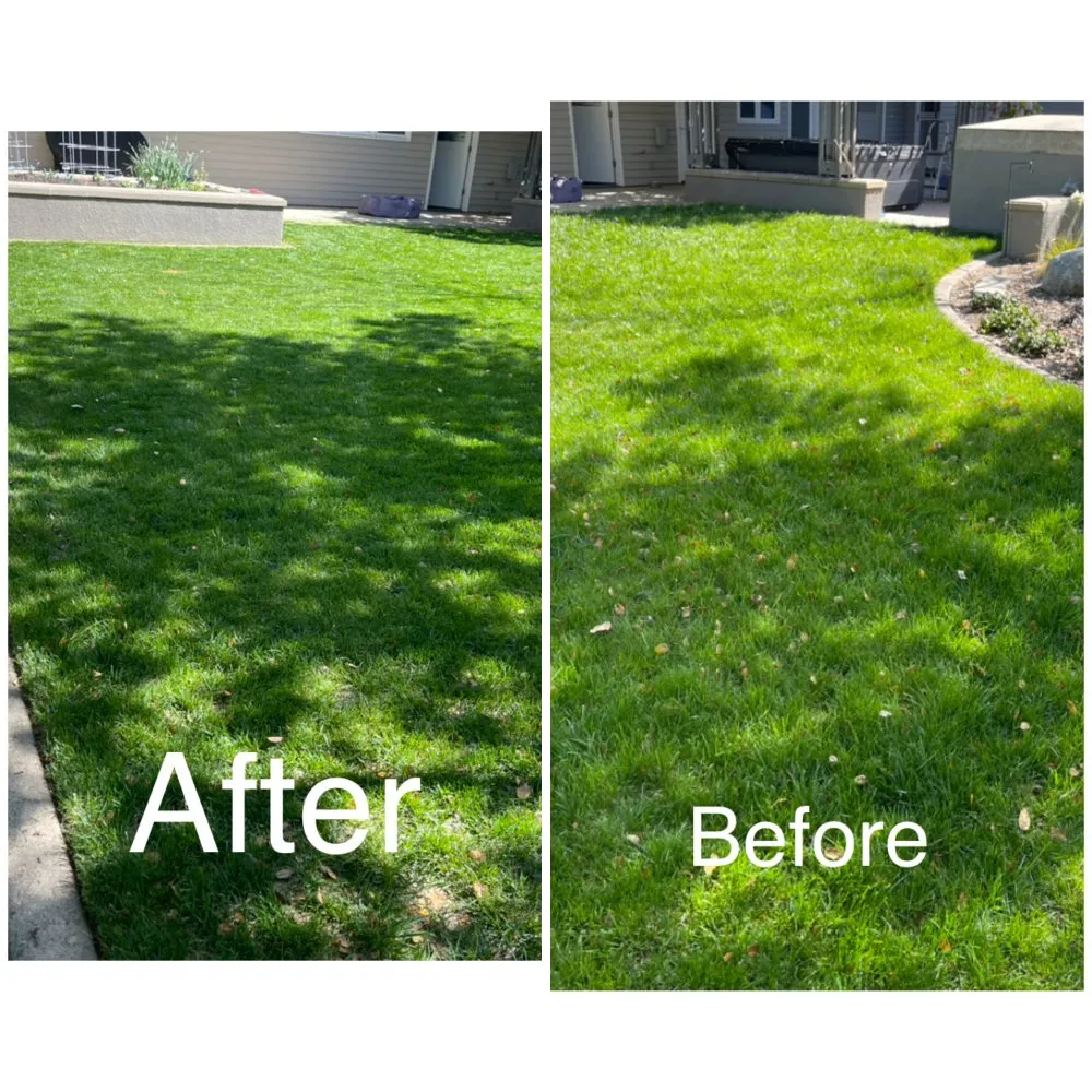 Custom landscape installation for beautiful yards across Scotts Valley, CA - Landscape Dia’z