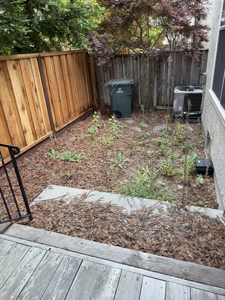 Affordable yard maintenance in Scotts Valley, CA - Landscape Dia’z