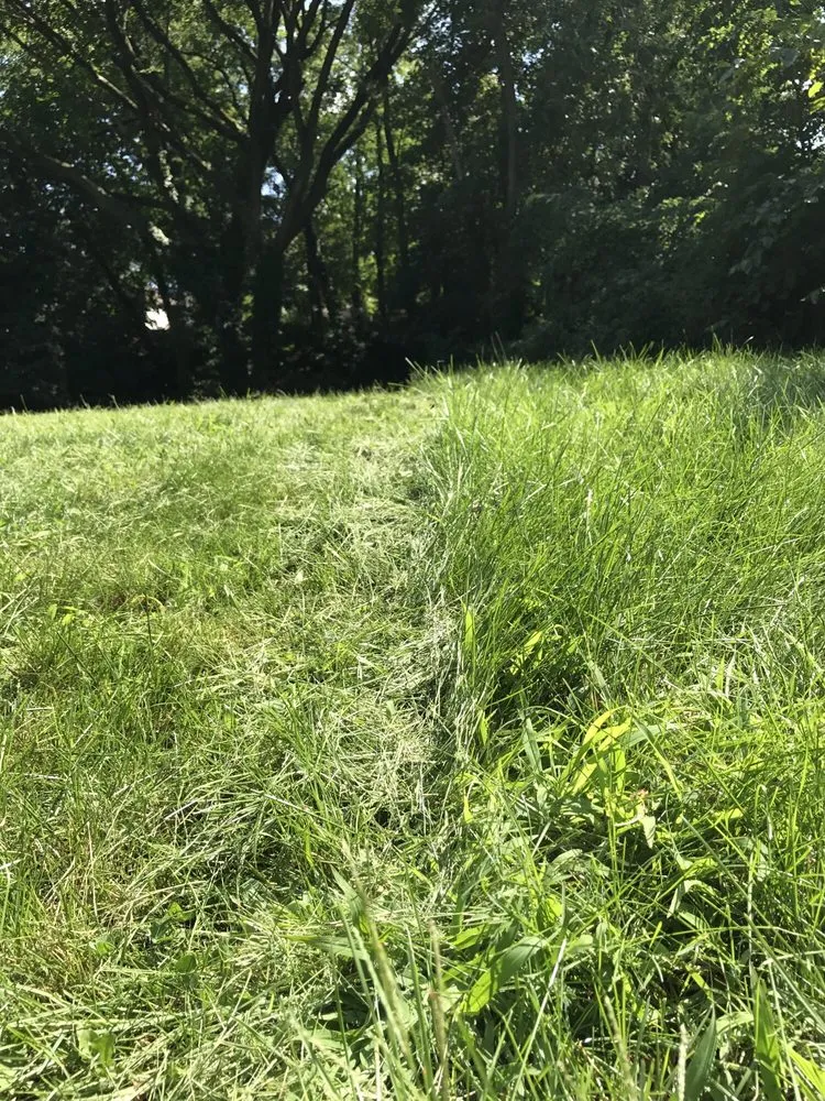 Professional lawn mowing service experts serving Woodbridge Township, NJ - Landscape Dna