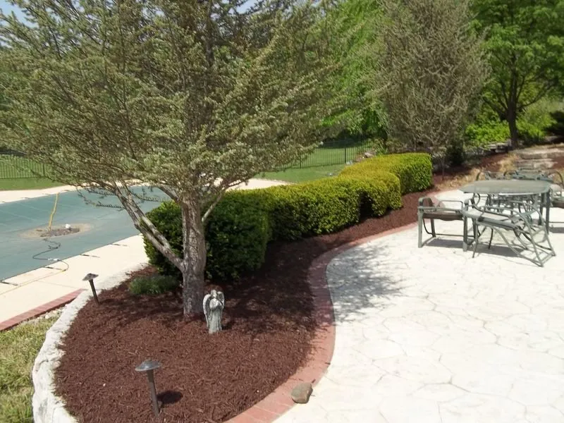 Affordable yard maintenance for year-round maintenance in Hannibal, MO by Landscape Doctor
