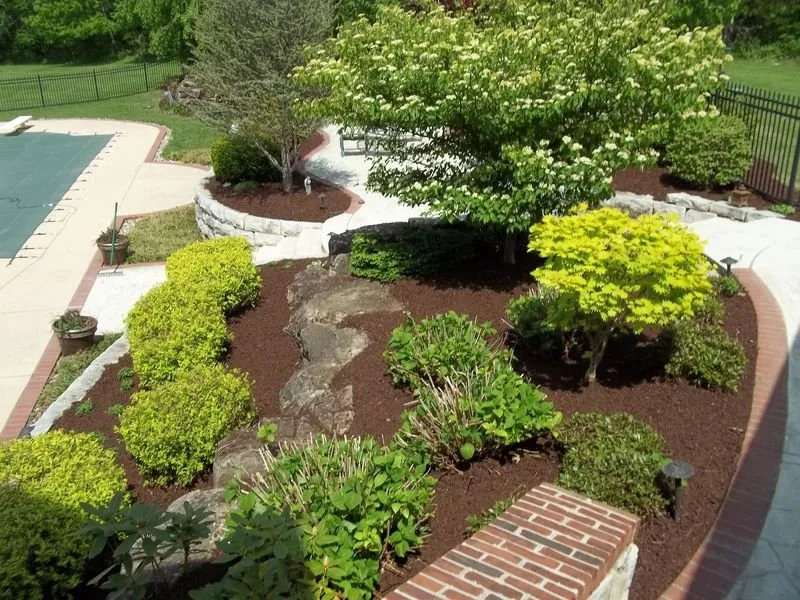 Professional yard cleanup service in Hannibal, MO by Landscape Doctor