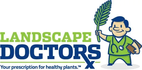 Professional lawn mowing service experts serving Glendale, AZ - Landscape Doctors LLC