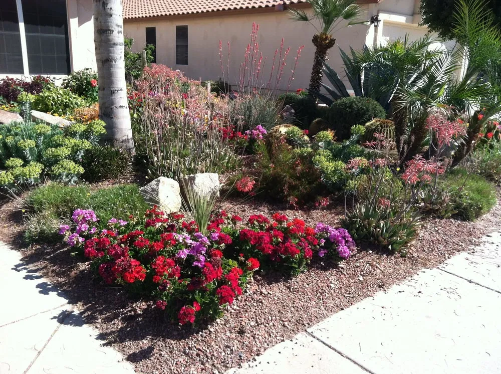 Reliable garden landscaping in Glendale, AZ - Landscape Doctors LLC