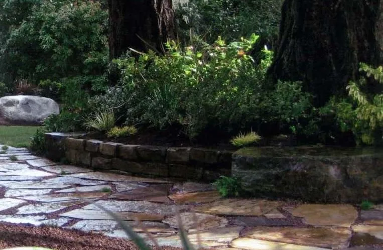 Affordable yard maintenance in Lawrenceville, GA - Landscape Dr