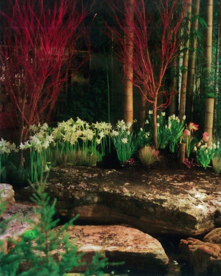 Custom yard maintenance in Lawrenceville, GA - Landscape Dr