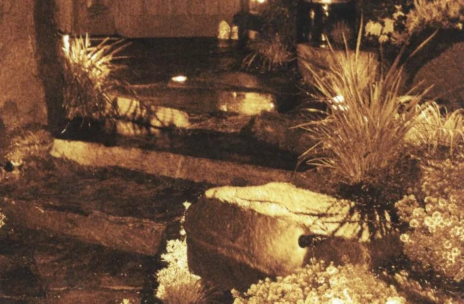 Top-rated yard maintenance near you in Lawrenceville, GA by Landscape Dr