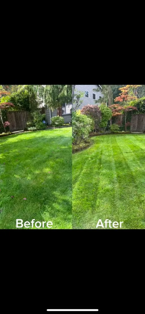 Top-rated landscape installation near you across Everett, WA - Landscape Duo