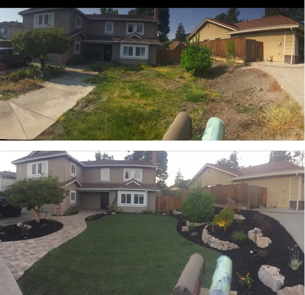 Trusted yard cleanup service in San Ramon, CA by Landscape Dynamics