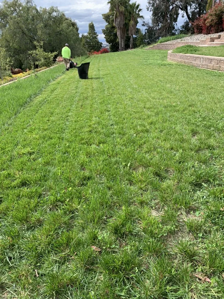 Local lawn mowing service experts serving San José, CA - Landscape E1HLS